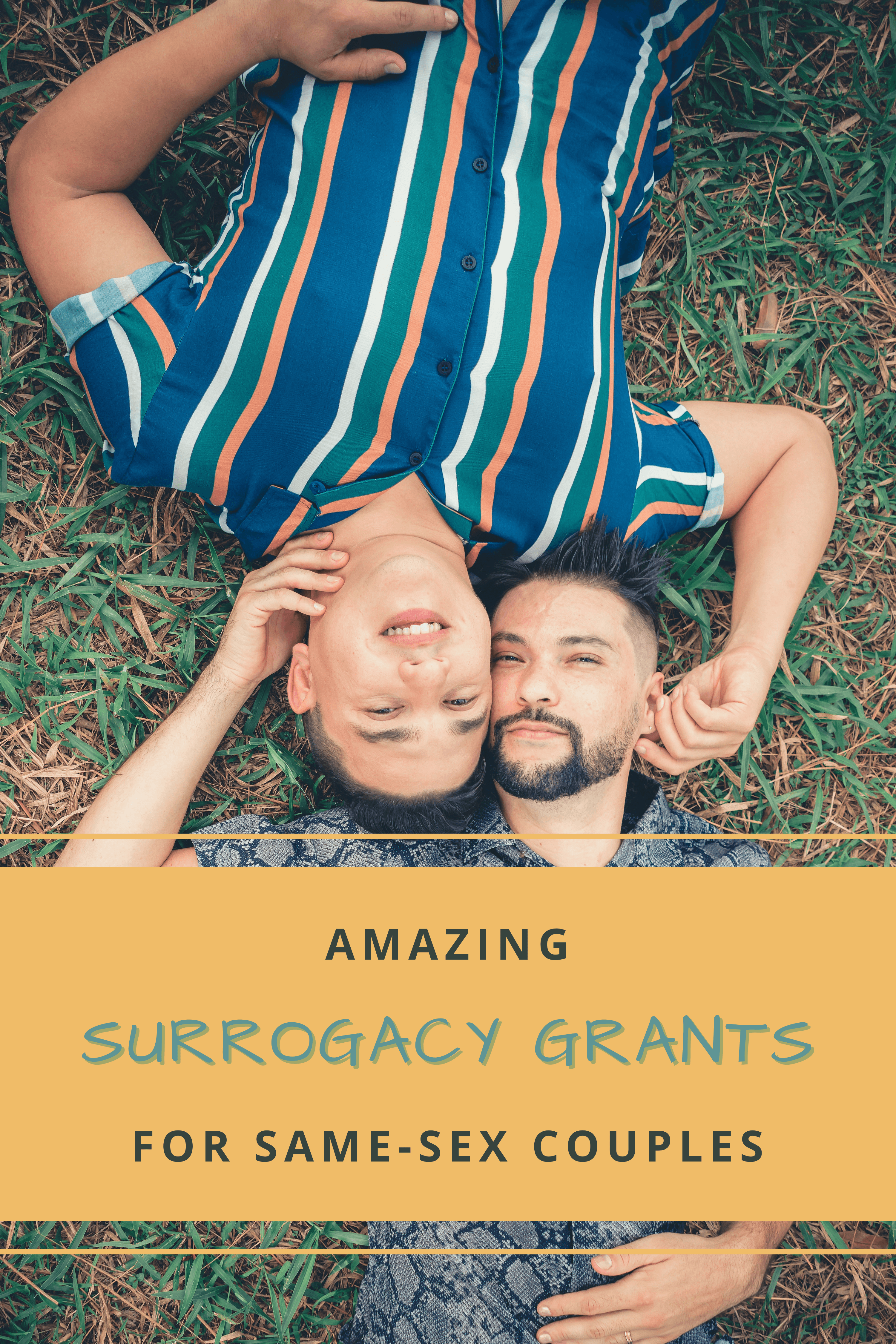 Amazing surrogacy grants for same sex couples